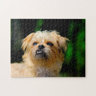 Griffon Dog Jigsaws. Jigsaw Puzzle