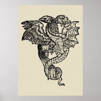 Griffon & Dragon Poster by andersARTshop at Zazzle