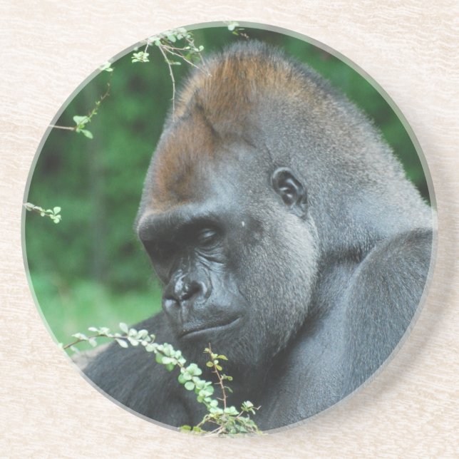 Grim Gorilla Drink Coaster (Front)