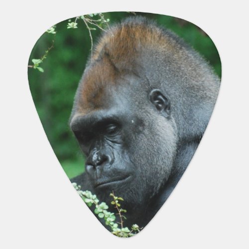 Grim Gorilla Guitar Pick