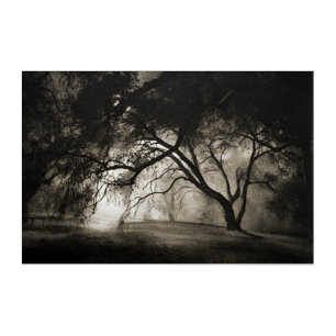 GRIMM'S FOREST Acrylic Wall Art