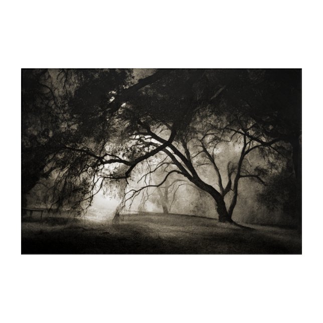 GRIMM'S FOREST Acrylic Wall Art (Front)