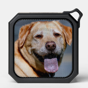 Grin Bluetooth Speaker