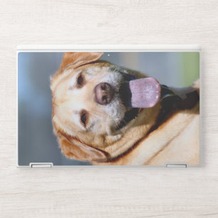 Grin HP laptop skin