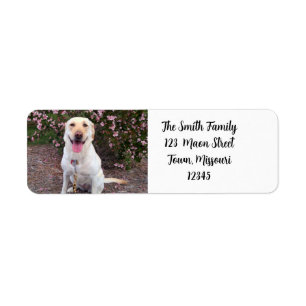 Grin Label