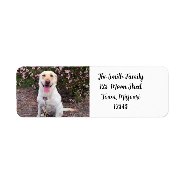 Grin Label (Front)