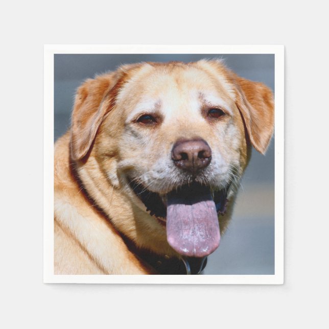 Grin Napkins (Front)