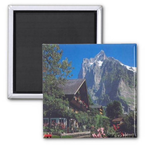 Grindelwald Jungfrau region Magnet