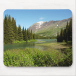 Grinnell Creek at Glacier National Park Mouse Pad