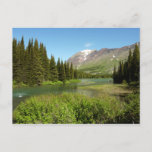 Grinnell Creek at Glacier National Park Postcard