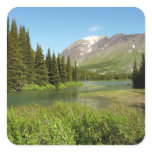 Grinnell Creek at Glacier National Park Square Sticker