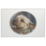Grinning Border Terrier Cross Fabric