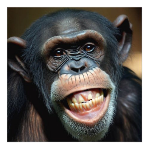 Grinning Chimpanzee Photo Print