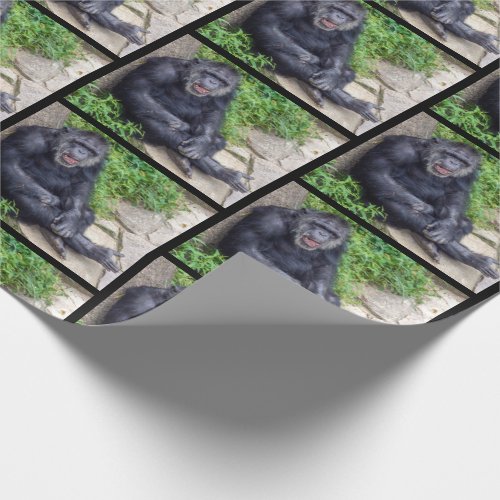 grinning chimpanzee wrapping paper