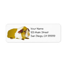 Abyssinian 42 Custom Return Stickers Guinea Pig Personalised Address Labels
