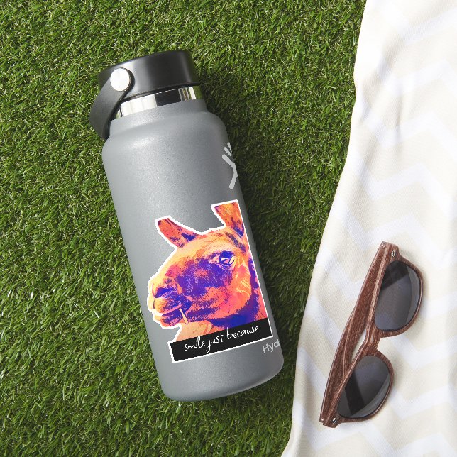 grinning llama smile just because quote  sticker (HydroFlask Insitu)