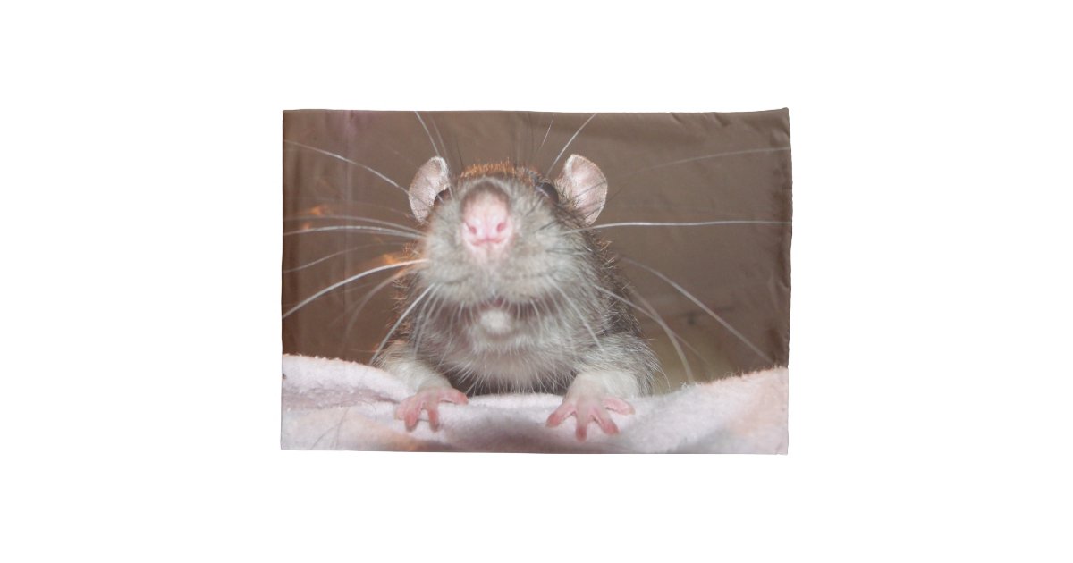 rat body pillow