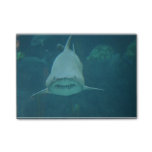 Grinning Shark Post-it Notes
