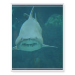Grinning Shark Temporary Tattoos
