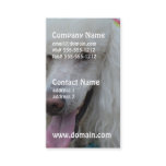 Grinning White Standard Poodle Business Card