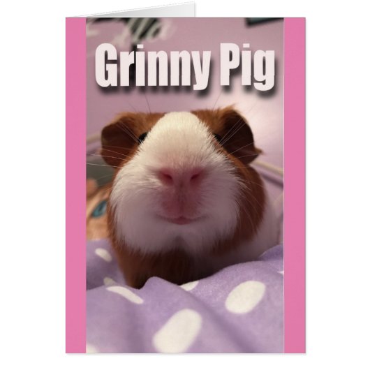 Grinny pig cards (Front)