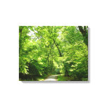 Grist Mill Trail I Canvas Print