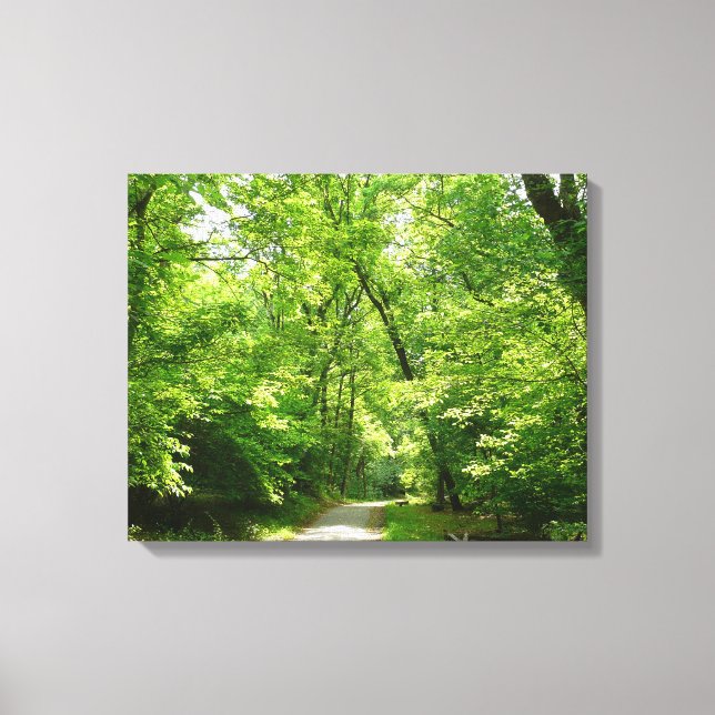 Grist Mill Trail I Canvas Print (Front)