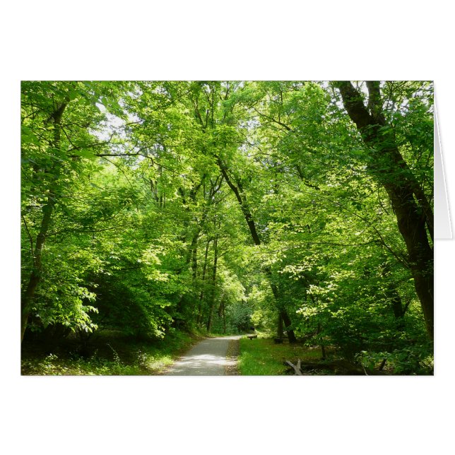 Grist Mill Trail I Cards (Front Horizontal)