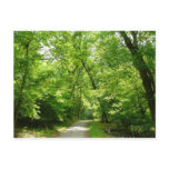 Grist Mill Trail I Postcard