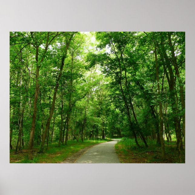 Grist Mill Trail II Poster (Front)