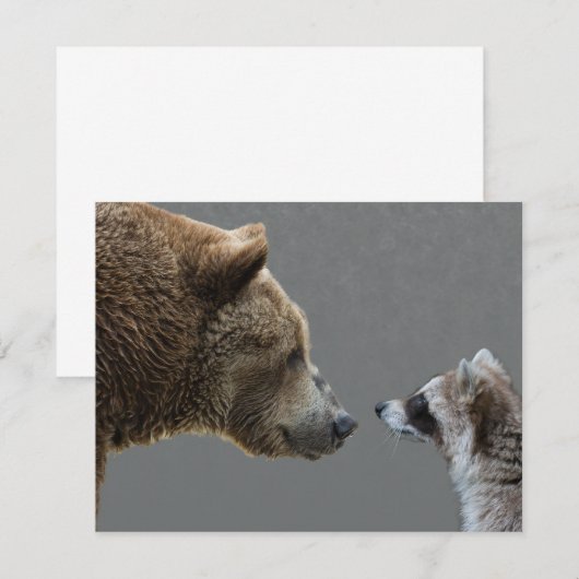 Grizzle Bear Meets Raccoon (Front/Back)