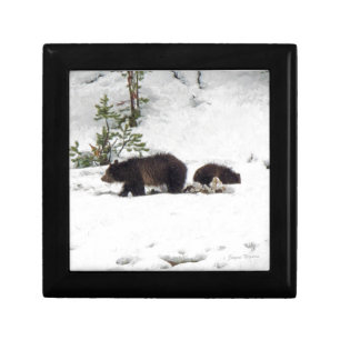 Grizzlies in the Snow Jewelry Box