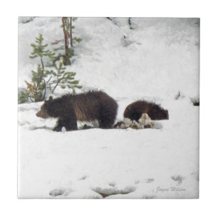 Grizzlies in the Snow Tile