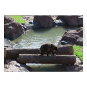 Grizzly Bear (Front Horizontal)