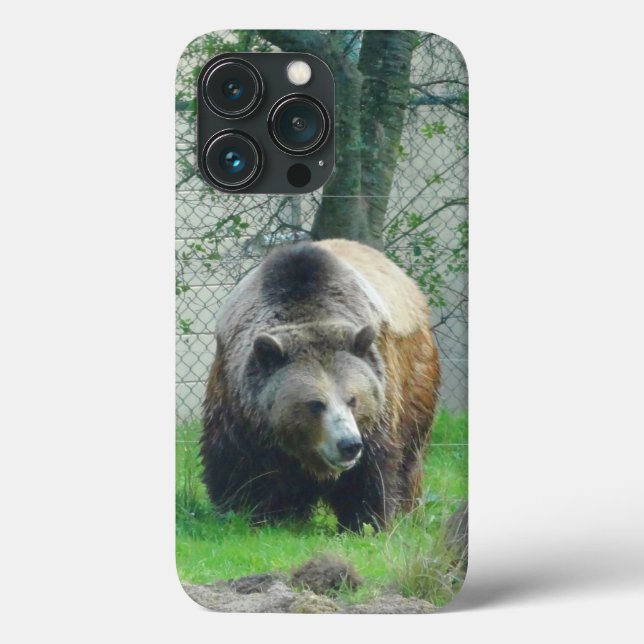 Grizzly Bear #1 iPhone 13 Pro Case (Back)