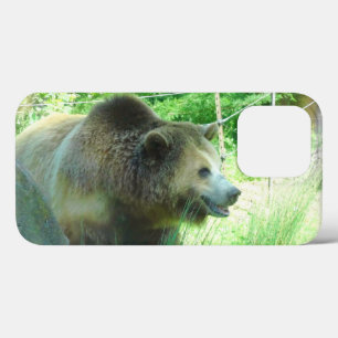 Grizzly Bear #3 iPhone 13 Pro Case