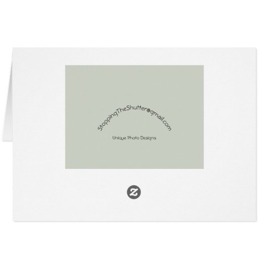 Grizzly Bear - Alaska (Back Horizontal)