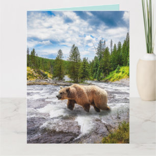 GRIZZLY BEAR ALASKA BIRTHDAY GREETING CARDS