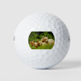 Bear Cubs Golf Balls