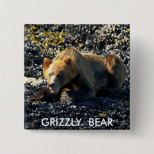GRIZZLY BEAR ART PINBACK BUTTON (Front)