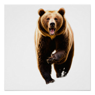 Grizzly bear attack a men in the back 8k on his ba poster
