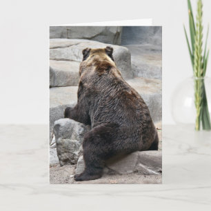 Grizzly Bear Birthday Humor Card