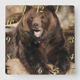 Grizzly Bear Boar Square Wall Clock