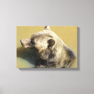 Grizzly Bear Canvas Print