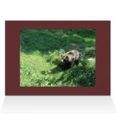 Grizzly Bear Cards (Inside Horizontal (Top))