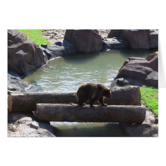 Grizzly Bear Cards (Front Horizontal)