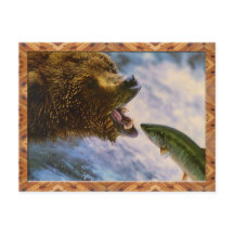 Grizzly Bear Catching Steelhead Salmon Postcard