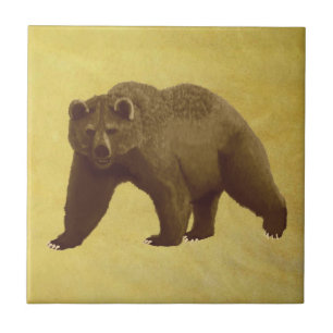 Grizzly Bear Ceramic Tile
