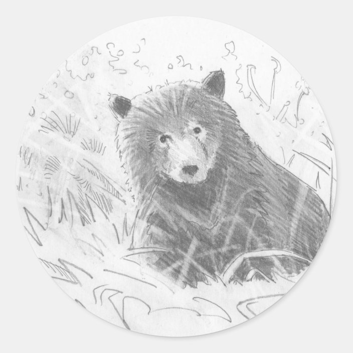 Grizzly Bear Cub Drawing Classic Round Sticker Zazzle Com