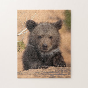 Grizzly Bear Cub Jigsaw Puzzle